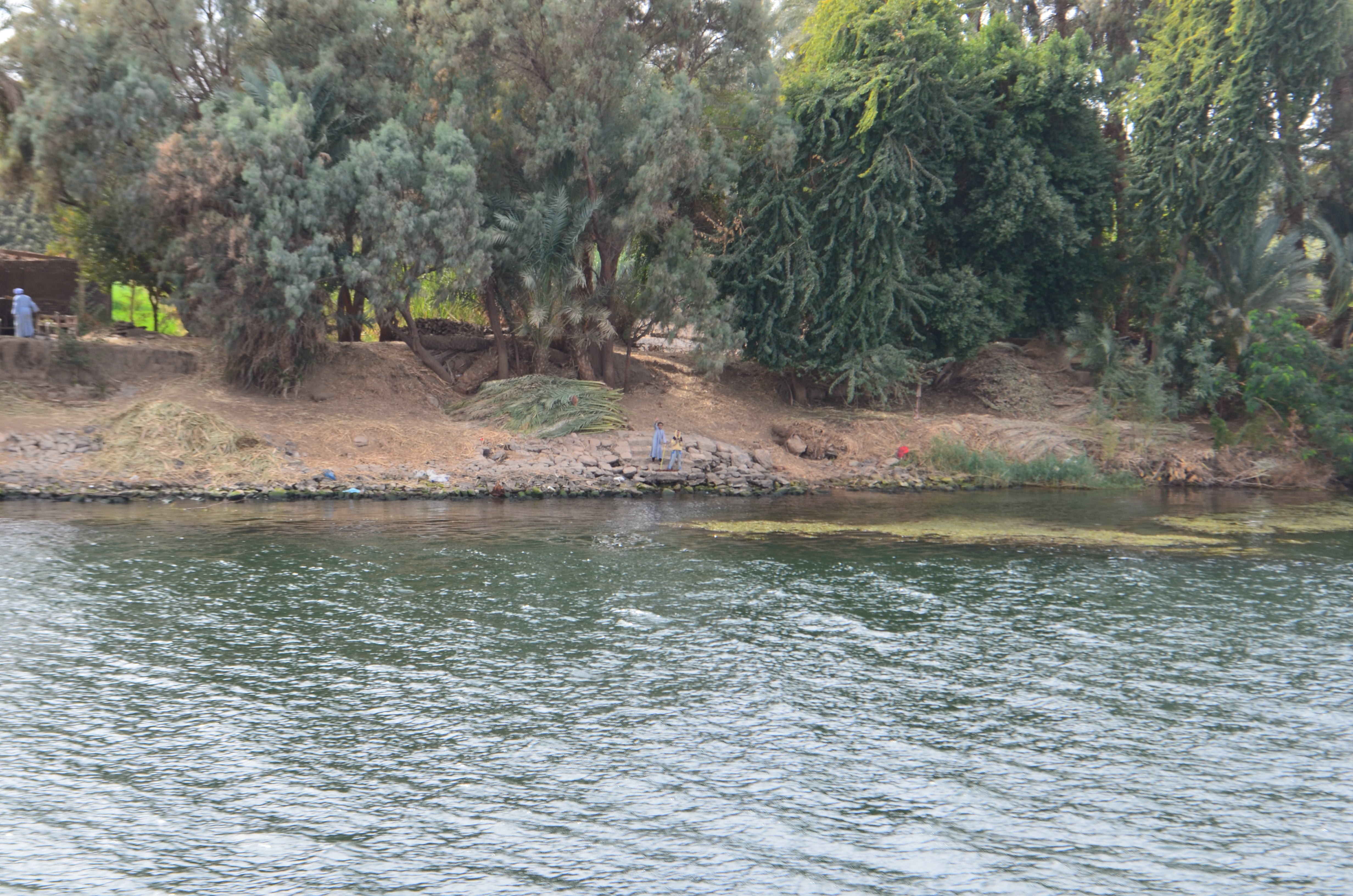 ./2018/16 - Egypt/11 - Edfu/DSC_0991.JPG